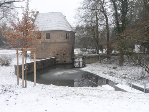 Yob93 en Hamelin: Paisaje, #Rombergpark #nieve #Alemania #Dortmund 