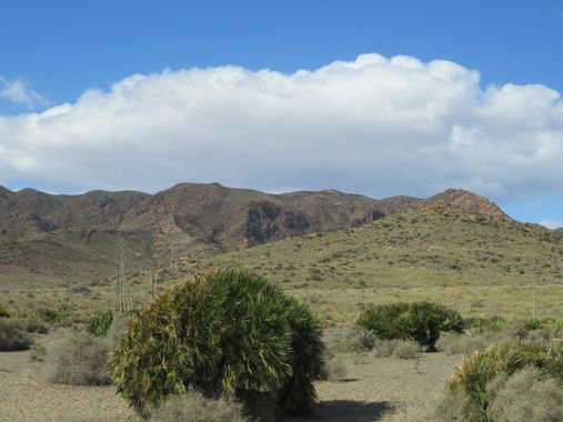 Solerantonio2 en Hamelin: Paisaje  (Níjar), Coinsidencias visuales