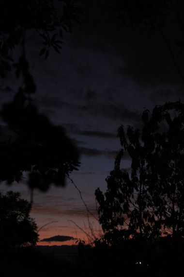 XxPrOzMeNxX en Hamelin: Paisaje, #arboles #atardecer #azul #bäume #blau #blue #cielo #clouds #colores #colors #darkness #dunkelheit #farben #fotografia #f...