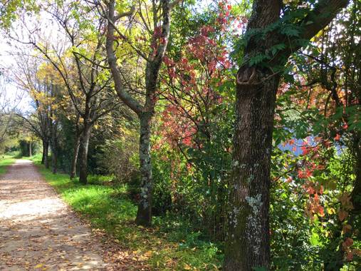 yolaidap en Hamelin: Paisaje  (Vigo), Galicia verde que te quiero verde💚🌷🌿🌺🍃#hamelin@ otoño 🍂 