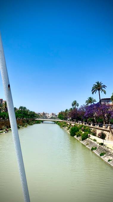 carogv1995 en Hamelin: Paisaje  (Murcia), #murciaquehermosaeres 