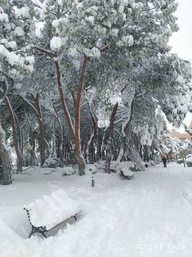 Lm.vidal en Hamelin: Paisaje  (Pozuelo de Alarcón), Paisaje nevado