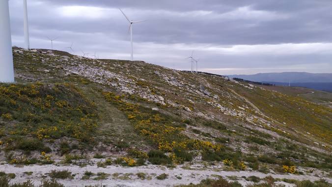 David en Hamelin: Paisaje  (A Cañiza), #paisaje #naturaleza #Galicia #España #Europa #camino 