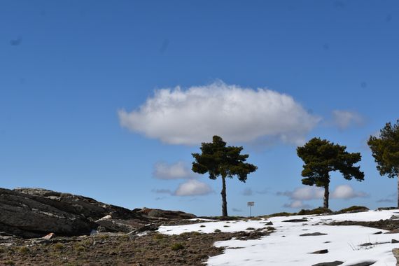 Solerantonio2 en Hamelin: Paisaje  (Bacares), Coinsidencias visuales