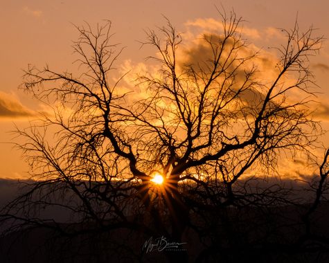 Miguel Becerra en Hamelin: Paisaje  (Santa María), Atardecer en Jahuel

#sundown #sunset #sunsetphotography #trees #arboles #arbol #sol #sun #foto 