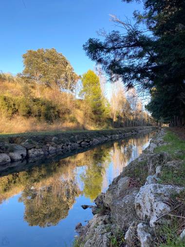 PBG en Hamelin: Paisaje  (Cistérniga), Río Duero

#otoño20 #otoño2020 #paisaje #naturaleza 