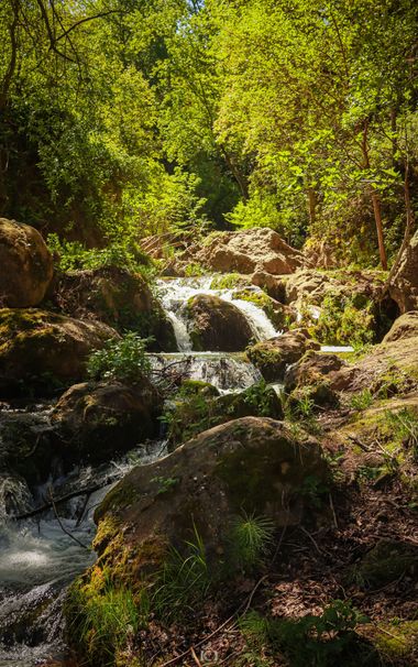 Franciscoperez25 en Hamelin: Paisaje  (Cazorla), Río Cerezuelo a su paso por Cazorla Pueblo.
