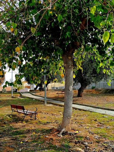 Pil_artero en Hamelin: Paisaje  (Puebla de Vallbona), #parquesyjardines
