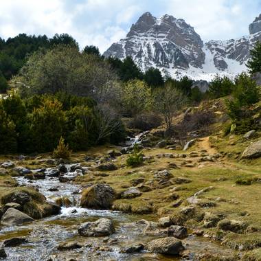 Mai en Hamelin: Paisaje  (Biescas), Barranco del boj