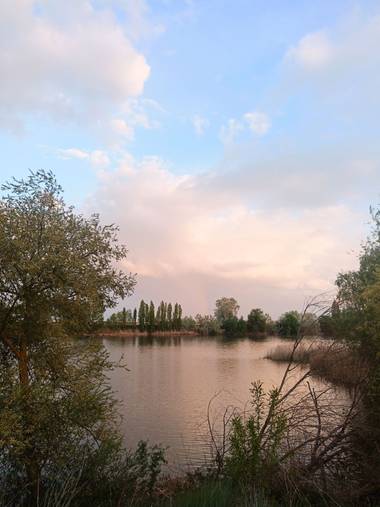 Marimer1512 en Hamelin: Paisaje  (Zamora), Paz #rioduero #zamoraenamora #zamora