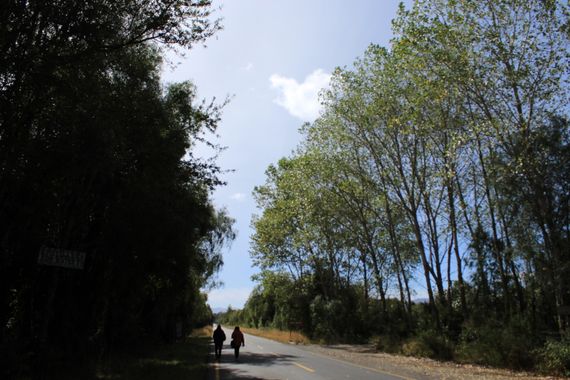 XxPrOzMeNxX en Hamelin: Paisaje, #camino #carretera #arboles #sombras #personas #cielo #azul #nube 
