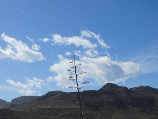 Solerantonio2 en Hamelin: Paisaje  (Níjar), Coinsidencias visuales