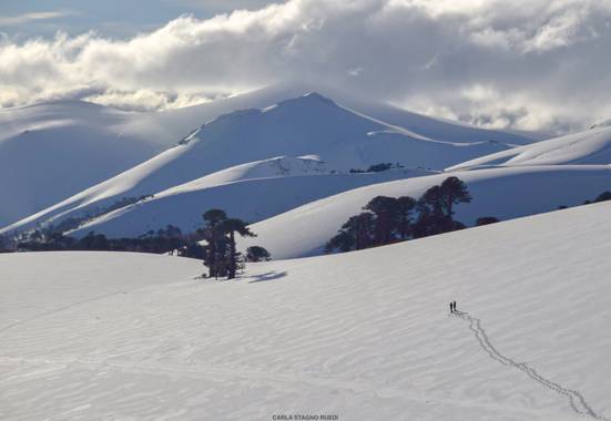 Carla Stagno en Hamelin: Paisaje  (Curacautín), Caminando hacia el volcán Lonquimay - Chile
#paisajes #paisajesdechile #invierno20 #volcanesdechile #volcan...