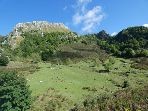 mariale en Hamelin: Paisaje  (Caso), 📸 #marialemdza
💚 🌿🌸🌿💚
#CumpleHamelin
#Naturaleza #BellezaNatural #paisaje 
#Asturias  #Montaña #forest #bosque #...