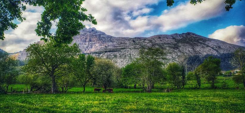 Sortueta en Hamelin: Paisaje  (Castro-Urdiales), Imponente vigía