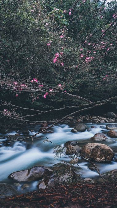 Dimaswaterlover en Hamelin: Paisaje  (San Carlos), #nature #naturelovers #landscape #lanscapephotography 