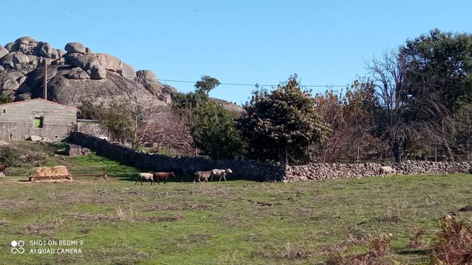GreenPhoto en Hamelin: Paisaje 