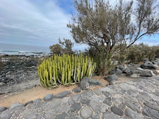Juanatlantida82 en Hamelin: Paisaje, #Tenerife 