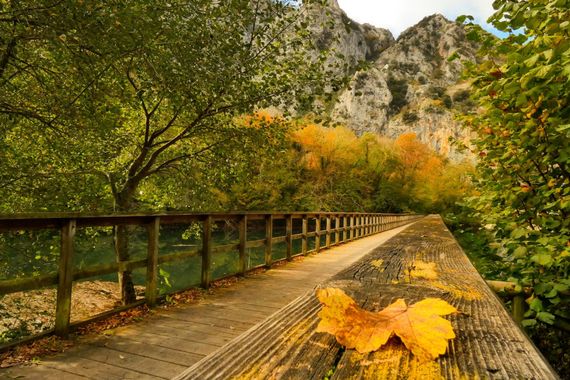 Noe en Hamelin: Paisaje  (Quirós), #paisaje #asturias #otoño #naturephotography #photography #landscapephotography #nature #autumn #paradise #autumnvibes #...