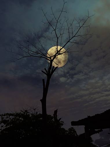 Pisc.LopezMarce en Hamelin: Paisaje  (Arauca), #hamelinpaisajes 
#paisajescolombianos 
#landscapenight 
#moon 