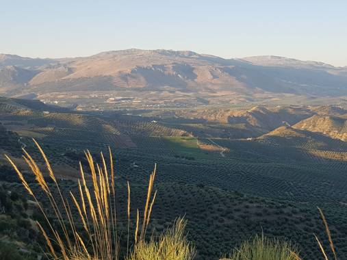 Rasapeco en Hamelin: Paisaje 