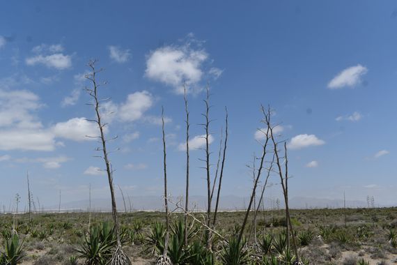 Solerantonio2 en Hamelin: Paisaje  (El Pocico), Coinsidencias visuales