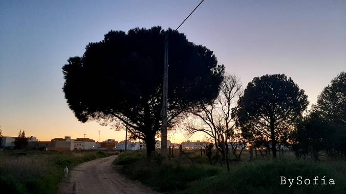 Marisofigonzalez en Hamelin: Paisaje, #atardecer  