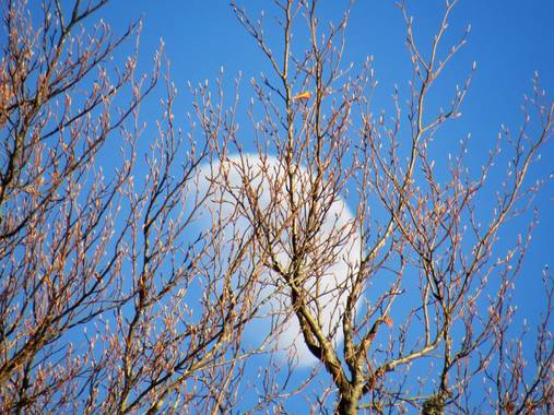mariale en Hamelin: Paisaje, #Asturias 
#luna #moon 