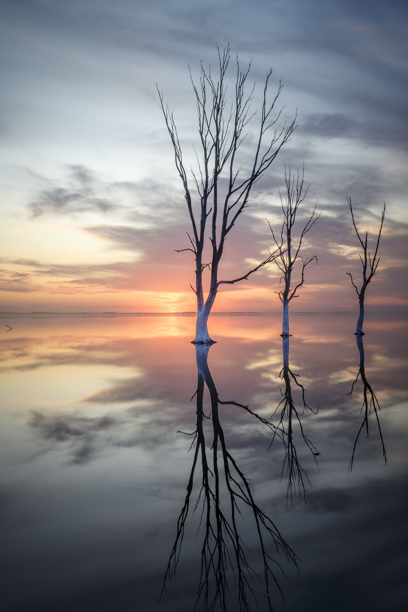 Fotografía ganadora de la semana