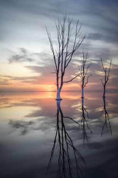 Marcos en Hamelin: Paisaje  (Adolfo Alsina), #reflejos #agua #astrofotografia #landscape #arboles #atardecer 