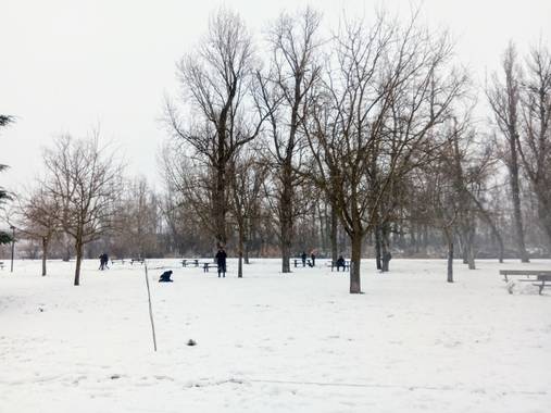 Marimer1512 en Hamelin: Paisaje  (Zamora), Parque de los Tres Árboles nevado#Zamora#invierno20
