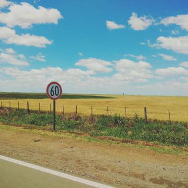 Marianaquimeycenturion en Hamelin: Paisaje  (Venado Tuerto), Caminos y trigales de mi país 🌾