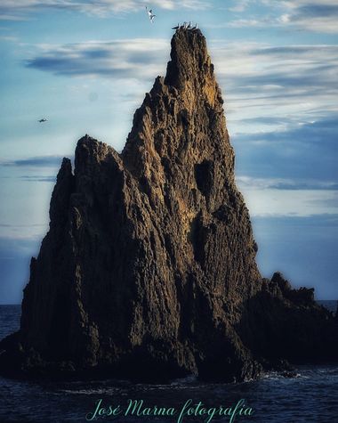 Joseangelmartinez1975 en Hamelin: Paisaje  (Níjar), Arrecife de las sirenas. 
Olor a mar, sal, las gaviotas encima de ti, las olas rompiendo en las rocas. ...