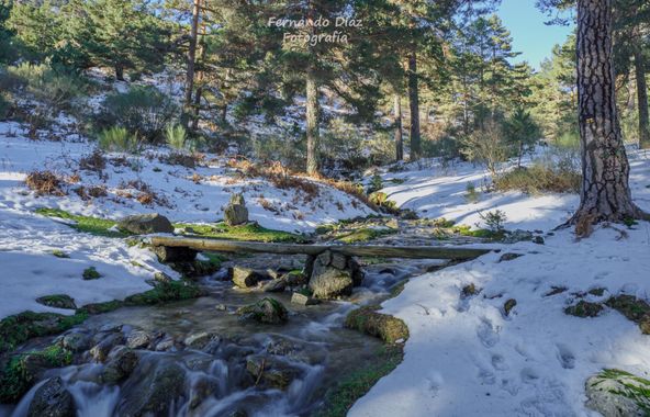 fdhphotos en Hamelin: Paisaje  (Cercedilla), #nieve #seda