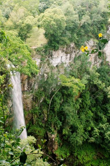 rociozarate41 en Hamelin: Paisaje  (Aristóbulo del Valle), #misionesargentina #misiones #ParquesyJardines