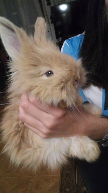 gd23653bad en Hamelin: Paisaje  (San Juan), #animal_life #lovelydogs ♡.♡
#hamelin2020 