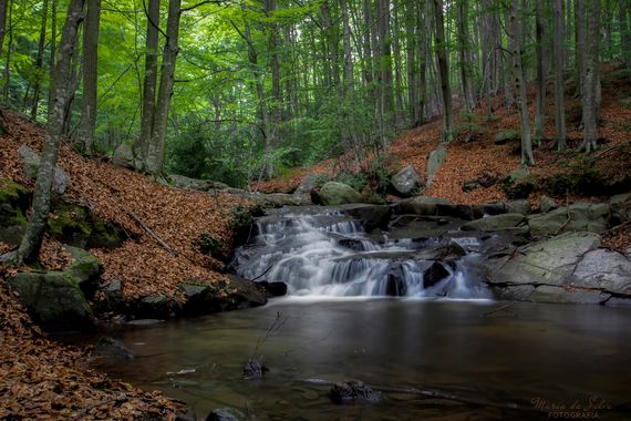 Maria João Silva Santos en Hamelin: Paisaje  (Montseny), #apfb
#cumplehamelin 