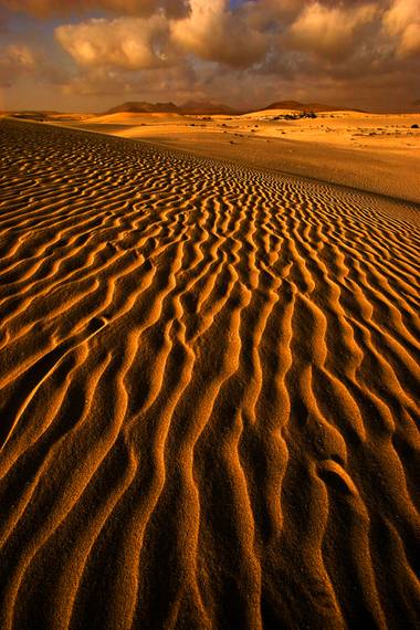 Ignicapillus en Hamelin: Paisaje  (La Oliva), Paraíso duro

Los desiertos son paraísos para el alma e infiernos para el cuerpo. Y como tenemos mucho cuerpo...
