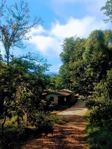 Krished en Hamelin: Paisaje, Mi camino
