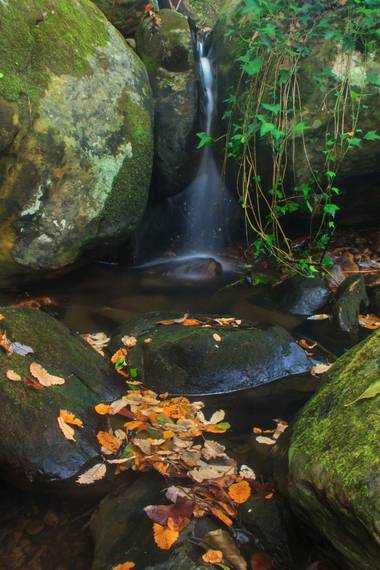 Gallardof1 en Hamelin: Paisaje  (Los Barrios)