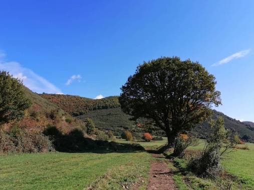 mariale en Hamelin: Paisaje, 📸 @marialemdza
#otoño20 #paisajes
Ruta del viernes, 09/10/2020
.
#Naturaleza #Montaña #BellezaNatural #otoño2020 #ProvinciaD...