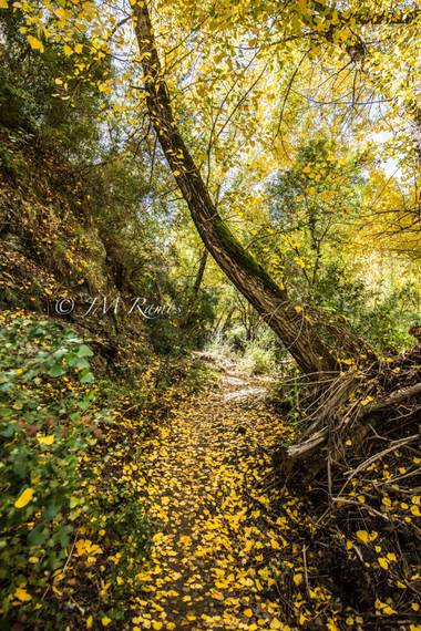 ramosbarbero.jm en Hamelin: Paisaje, #paisajesyjardines 