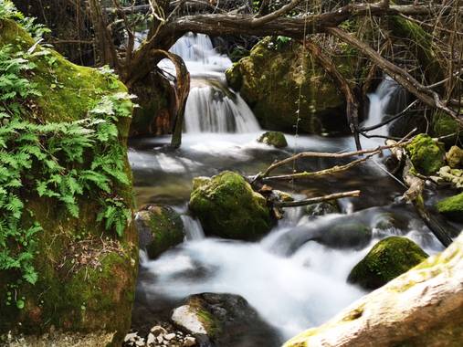 jessicajimenezramirez en Hamelin: Paisaje  (El Bosque), Rincones con encanto!! Rio majaceite ( el bosque) ❤️