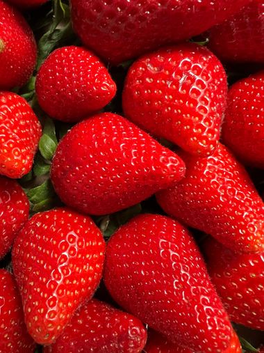 Eudimer20 en Hamelin: Flora, Fragaria × ananassa, #fresa 