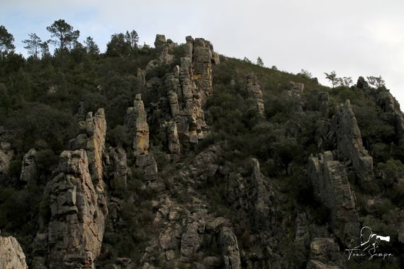 Toni Sempa en Hamelin: Paisaje  (Santa Ana la Real), Ruta de los Libros y Riscos de Levante.
#landscape #paisaje #rurales #rural #andalucia #huelva  #arbol...
