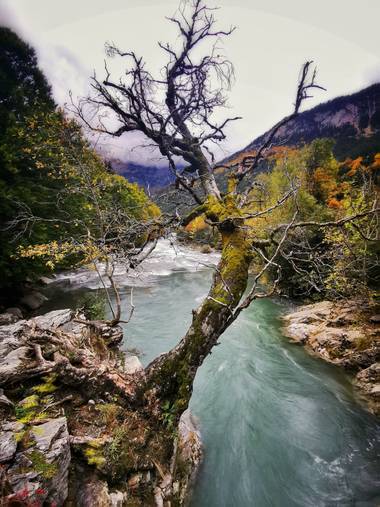 Mararuizasensio en Hamelin: Paisaje  (Torla-Ordesa), 