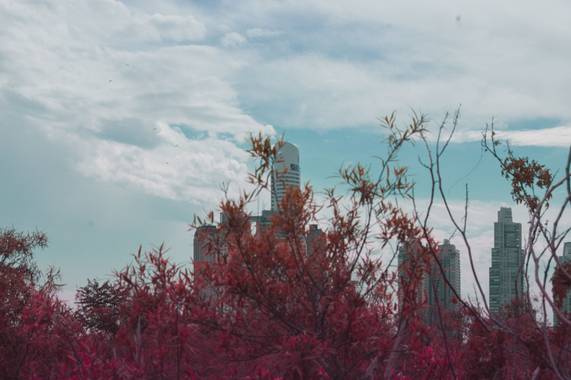 aylumeaubrio en Hamelin: Paisaje  (Ciudad de Buenos Aires), #fotocolor #fotopaisajes #fotoargentina 