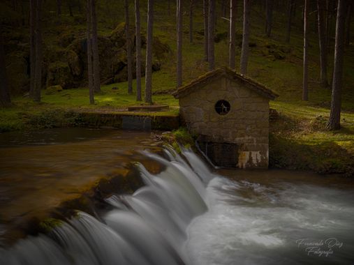 fdhphotos en Hamelin: Paisaje  (El Espinar), @fdefotos1