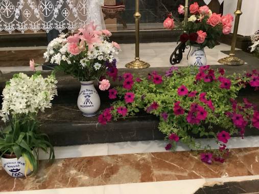 Manubarbecho en Hamelin: Flora  (Villafranca de Córdoba), #flora21 