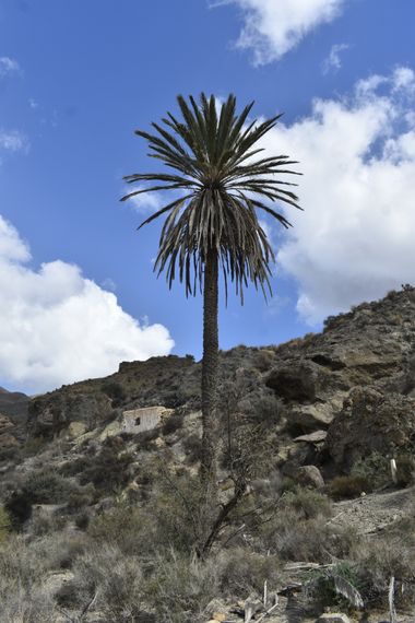 Solerantonio2 en Hamelin: Paisaje  (Pechina), Coinsidencias visuales